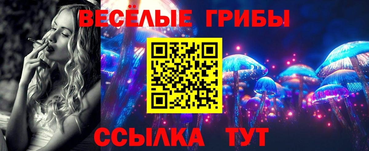 Псилоцибиновые грибы мицелий Мончегорск